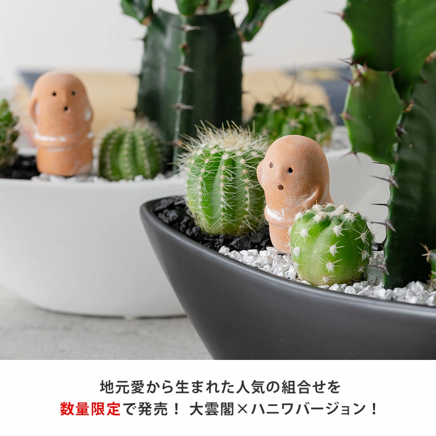 個性豊かなハニワがアクセント