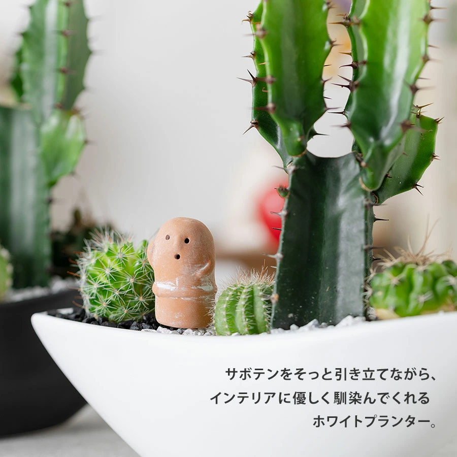 育てやすさも抜群