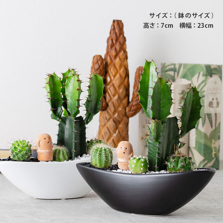 癒やしの空間を演出する、こだわりの寄せ植え