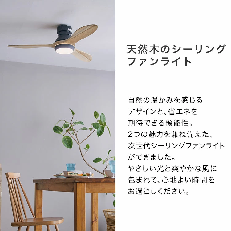 飛行機のような羽が、お部屋にモダンな風を呼び込む