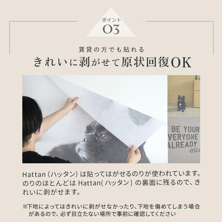 「びっくりカーテン」と「壁紙本舗」のタイアップ企画！こだわり抜かれたHattanシリーズ