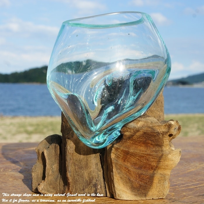 まるで流木の一部がそのままガラスになったかのような一体感のあるデザイン