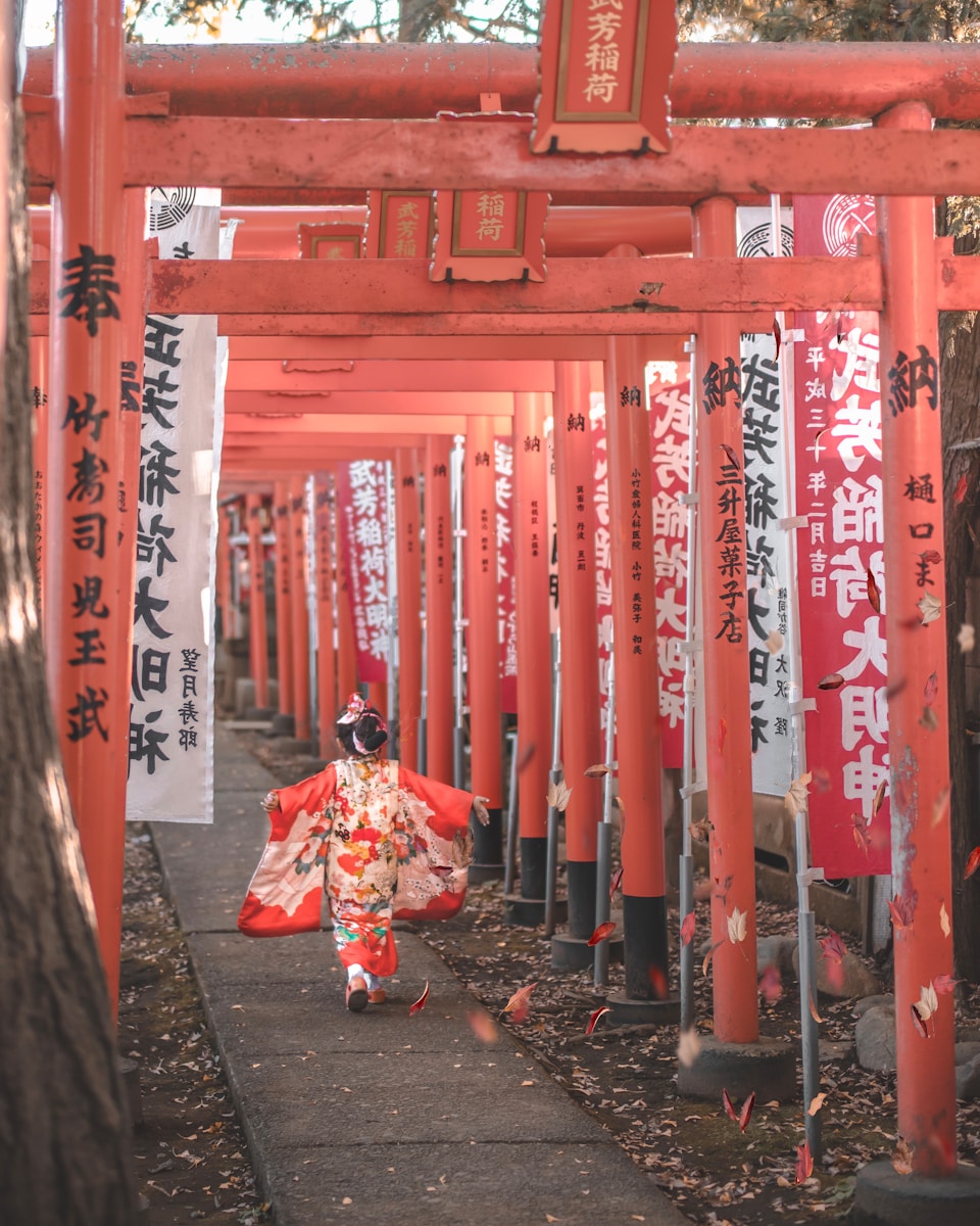 上巳:3月3日 / 桃の節句(雛祭り)