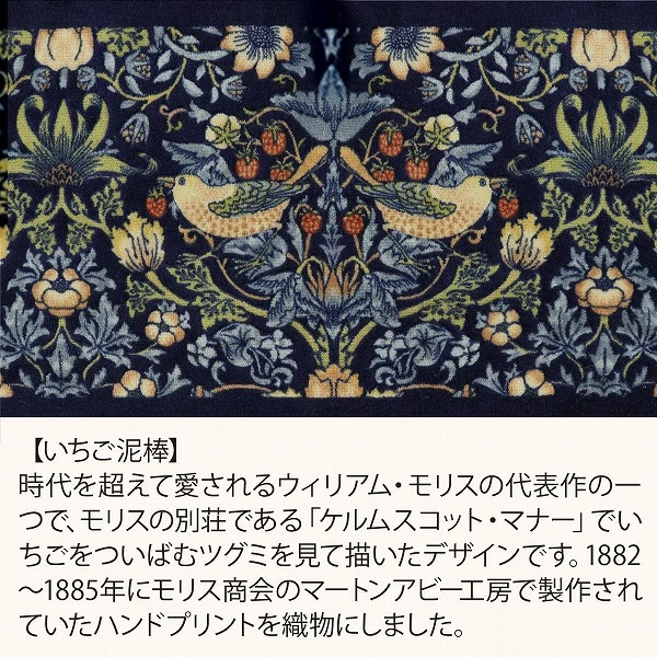 「いちご泥棒」のツグミが、足元にやってくる