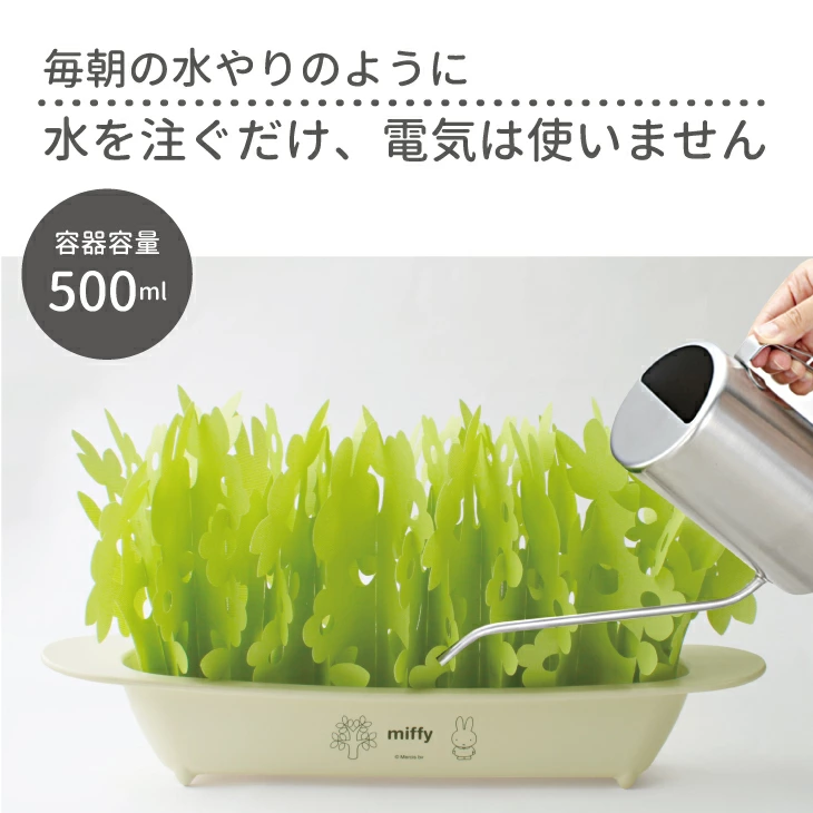 手軽さと衛生面。水を注ぐだけの簡単メンテナンス。