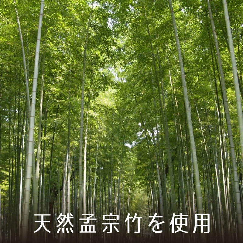 機能性も両立。日常使いを叶える工夫。